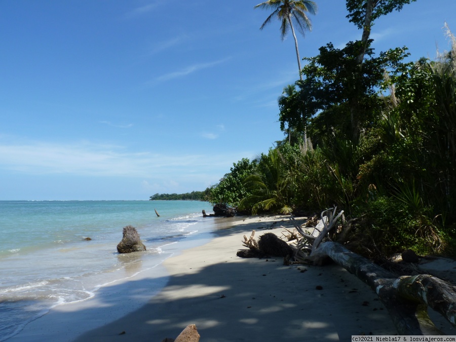 Costa Rica: 14 días low cost en el Caribe - octubre 21 (en familia) - Blogs de Costa Rica - Cahuita - Tierra mapache (1)