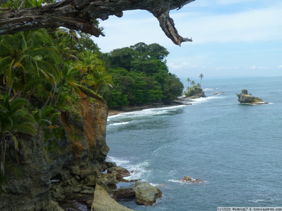 Costa Rica: 14 días low cost en el Caribe - octubre 21 (en familia) - Blogs of Costa Rica - Refugio Gandoca Manzanillo (sector Manzanillo) (4)