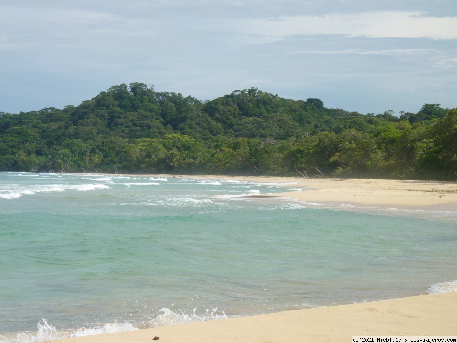 Bastimentos: playa Wizard y Playa Polo - Costa Rica: 14 días low cost en el Caribe - octubre 21 (en familia) (1)