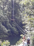 Tirolinas en el Rainforest