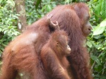 mama y su bebé