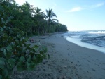 Cocles, Punta Uva y Playa Chiquita: playas de postal