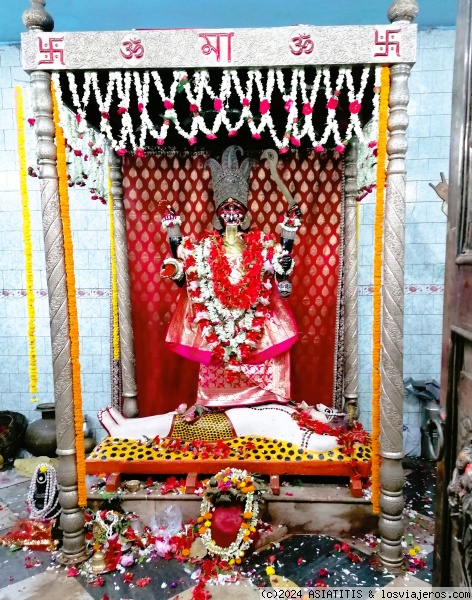 CALCUTA altar de Kali
Pequeño templo de Kali en Calcuta
