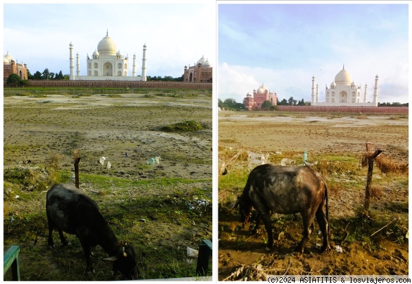 de GWALIOR a AGRA - Otra vez India (13)