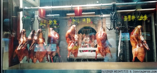 BEIJING - Gastronomia -
Pato laqueado en Qianmen. Beijing
