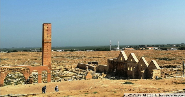 de SANLIURFA a HARRAN a HALFETI - Descubriendo el ESTE de TURQUIA (15)