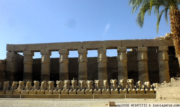 Luxor Este - Templo de Karnak y Museo de Luxor - Egipto intenso, entre Pirámides y Mezquitas (6)