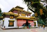 Monasterio Enchey GANGTOK
Gangtok, Enchey, India