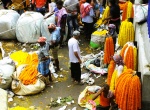 Flower Market CALCUTA