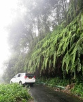 Paisaje en DARJEELING