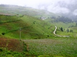 Carretera de Shangrila a Lijiang
Yunnan,Shangrila,Lijiang