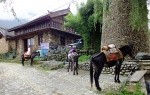 YUHU - LIJIANG -
Yunnan,Lijiang,Yuhu