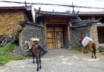 YUHU - LIJIANG -