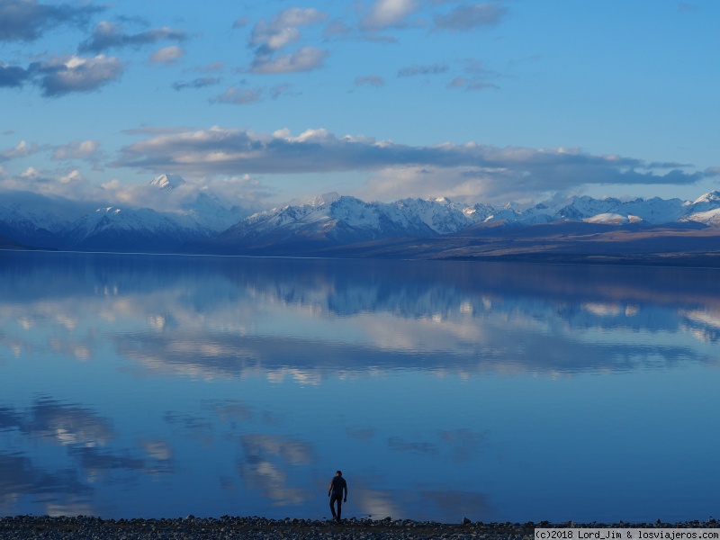 Aotearoa. 14 noches y 5.000 km en campervan por Nueva Zelanda - Blogs de Nueva Zelanda - Christchurch - Lagos Tekapo, Pukaki y Ruataniwha (3)