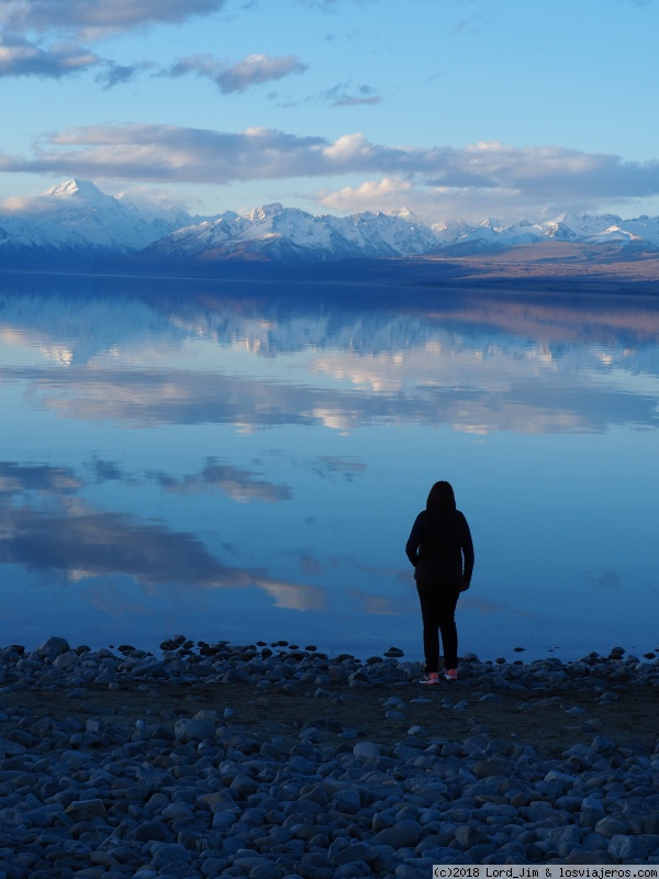 Aotearoa. 14 noches y 5.000 km en campervan por Nueva Zelanda - Blogs de Nueva Zelanda - Christchurch - Lagos Tekapo, Pukaki y Ruataniwha (4)