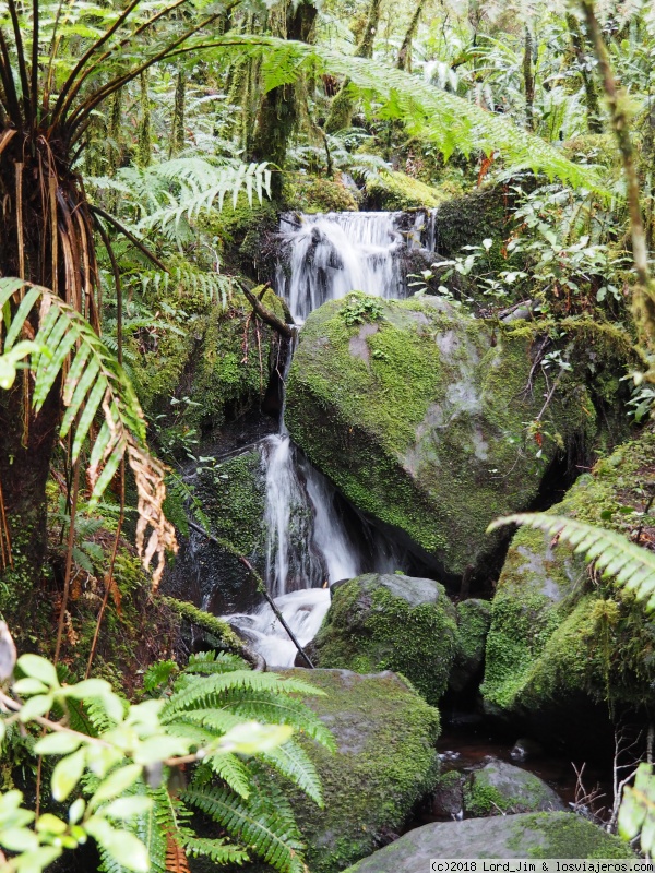 Aotearoa. 14 noches y 5.000 km en campervan por Nueva Zelanda - Blogs de Nueva Zelanda - Ruta de Queenstown a Milford Sound (5)