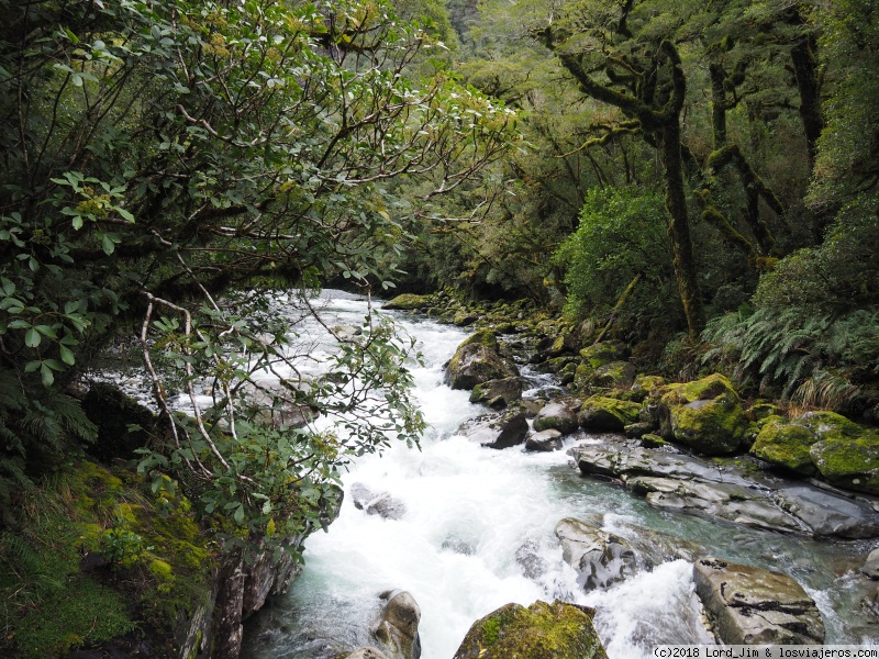 Aotearoa. 14 noches y 5.000 km en campervan por Nueva Zelanda - Blogs de Nueva Zelanda - Ruta de Queenstown a Milford Sound (6)