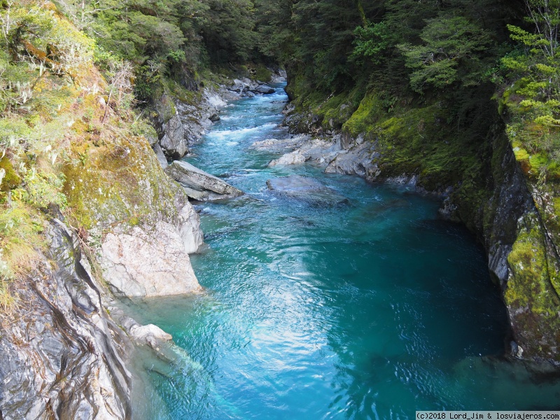 Aotearoa. 14 noches y 5.000 km en campervan por Nueva Zelanda - Blogs de Nueva Zelanda - Ruta hacia el norte. La West Coast Road (2)