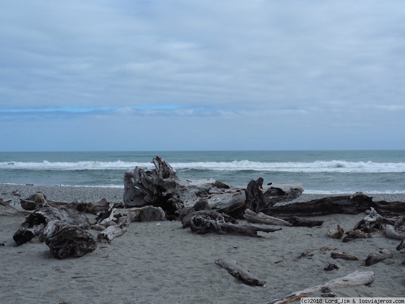 Aotearoa. 14 noches y 5.000 km en campervan por Nueva Zelanda - Blogs de Nueva Zelanda - Ruta hacia el norte. La West Coast Road (4)