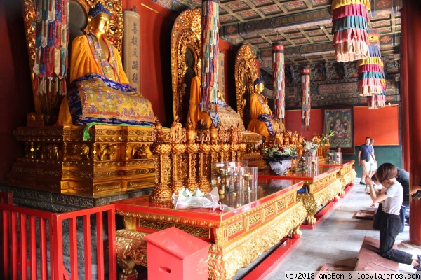 Templo de los Lamas (Beijing)
Una de las salas del Templo de los Lamas.
