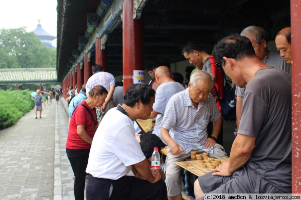 Hombres jugando a las damas en el Templo del Cielo (Beijing)
Hombres jugando a las damas en el Templo del Cielo (Beijing)
