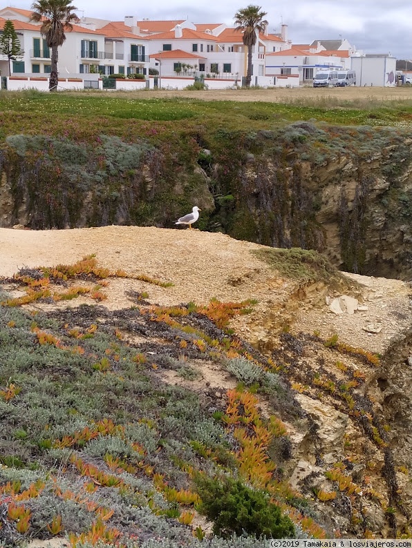 SEGUNDA ETAPA (2 días de costa y acantilados) - FANTÁSTICO VIAJE DE 6 DÍAS AL ALENTEJO!! (1)