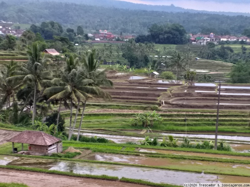 Pura Ulun Danu Batur-Pura Ulun Danu Bratan-Jatiluwih - Navidad y Fin de Año en Indonesia 2019 (5)