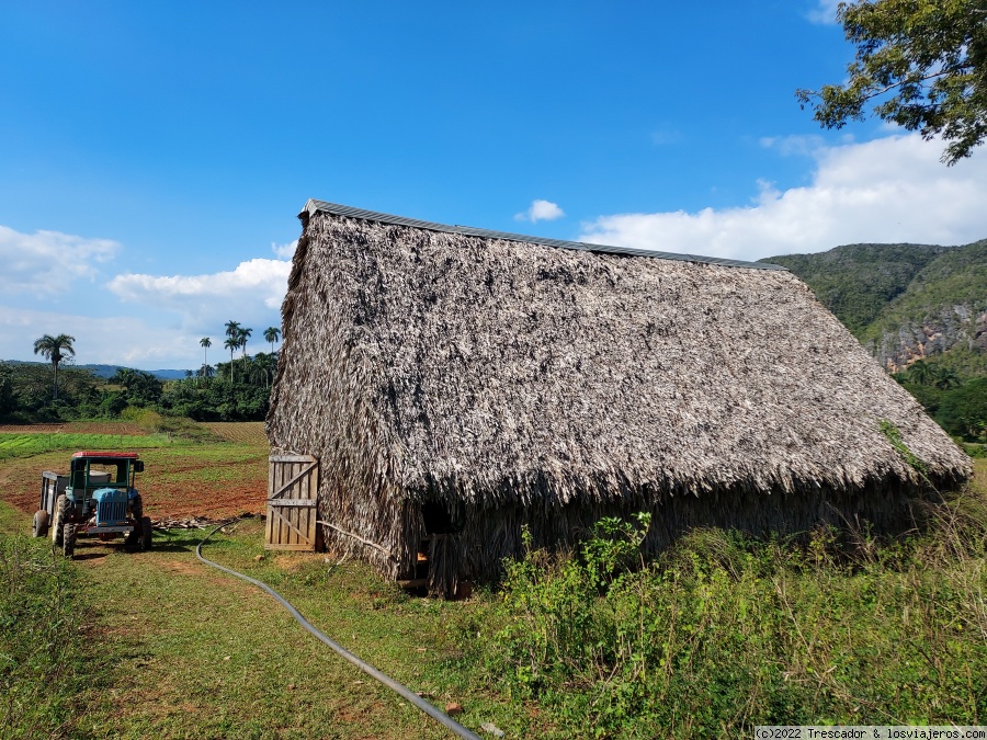 Traslado a Viñales - Navidad y Fin de Año en Cuba 2021 (6)