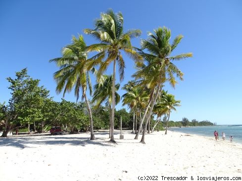 Conociendo toda la zona de la Ciénaga de Zapata - Navidad y Fin de Año en Cuba 2021 (6)