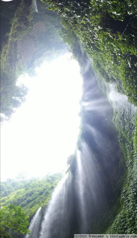 Navidad y Fin de Año en Indonesia 2019 - Blogs de Indonesia - Visita Cataratas Madakaripura (5)