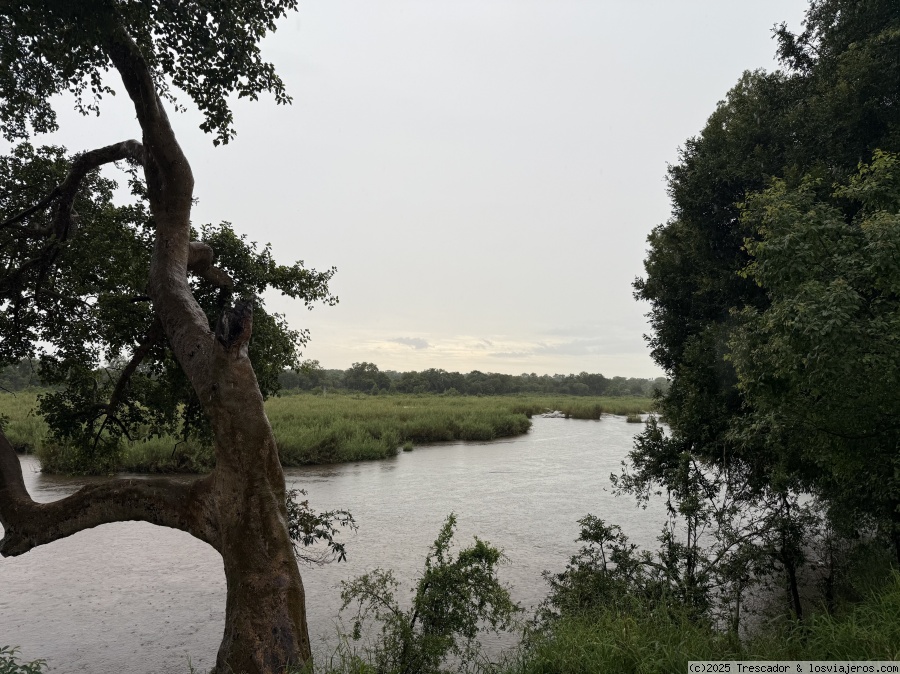 Segundo día completo en Kruger National Park - Navidad y Fin de Año Sudáfrica 2024 (3)