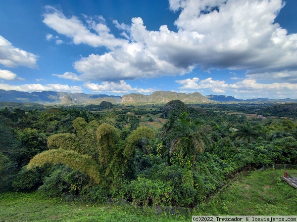 Viajar a Pinar del Río y Viñales - Cuba - Forum Caribbean: Cuba, Jamaica