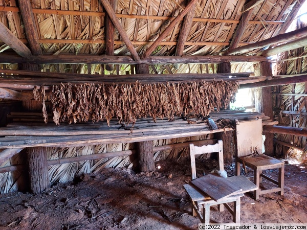 Secadero de tabaco en granja de Viñales
Secadero de tabaco en granja de Viñales
