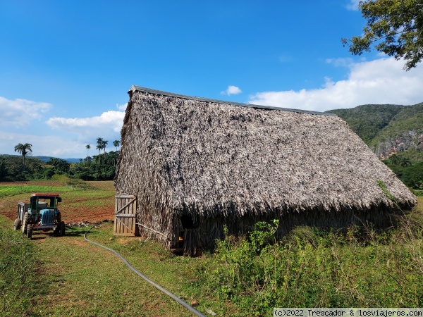 Secadero de Tabaco en granja de Viñales
Secadero de tabaco en granja de Viñales
