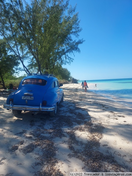 Coche hasta la arena en Playa Jutías
Coche hasta la arena en Playa Jutías
