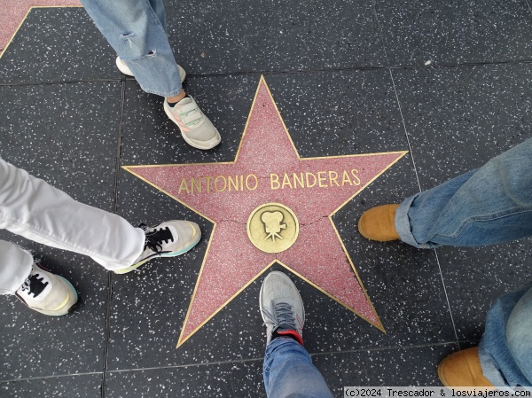 Estrella Antonio Banderas en el Paseo de La Fama
Estrella Antonio Banderas en el Paseo de La Fama
