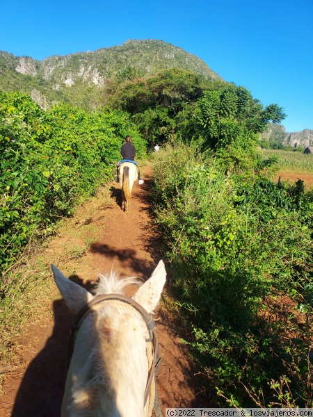 Ruta a Caballo por el Valle de Viñales
Ruta a Caballo por el Valle de Viñales en Cuba
