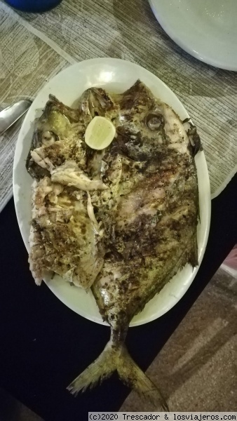 Pescado Fin de año
Pescado Fin de año
