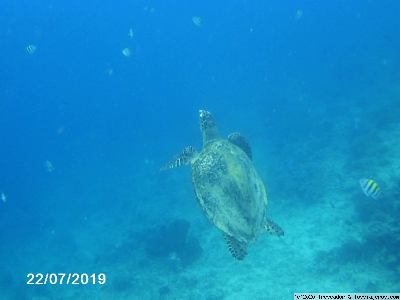 Snorkel en Gili Air - Navidad y Fin de Año en Indonesia 2019 (4)