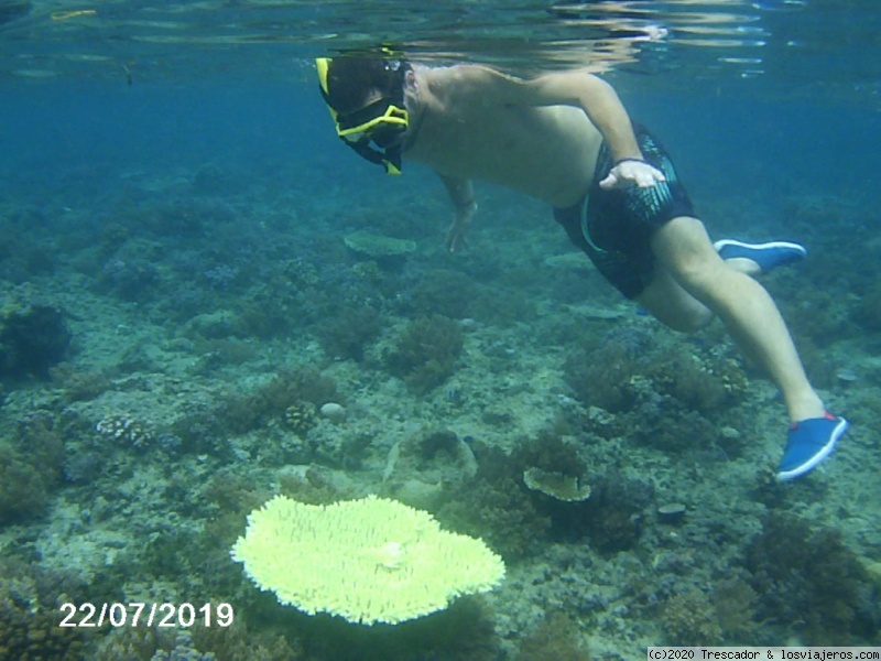 Snorkel en Gili Air - Navidad y Fin de Año en Indonesia 2019 (3)