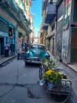 Calle de La Habana Vieja
Calle, Habana, Vieja