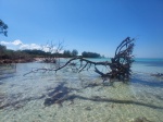 Playa de Cayo Jutías
Playa, Cayo, Jutías, Parte, Cuba, playa