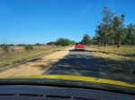 Secando el arroz en la carretera
Secando, Bahía, Cochinos, Cienfuegos, Cuba, arroz, carretera, entre