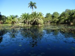 Ciénaga de Zapata en Bahía Cochinos
Ciénaga, Zapata, Bahía, Cochinos, Cuba