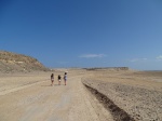 Camino a la playa de Ras Al Jinz
Camino, Jinz, playa