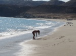 Tarde en la playa de Ras Al Jinz
Tarde, Jinz, playa