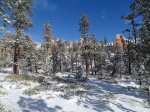 Paisaje trail Queen's Garden con nieve en invierno Bryce Canyon National Park