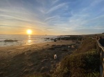 Puesta de Sol Elephant Seal View Point