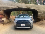 Toyota Yaris Cross cruzando Tunnel Log