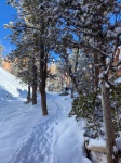 Trail Queen's Garden con nieve en invierno en Bryce Canyon National Park